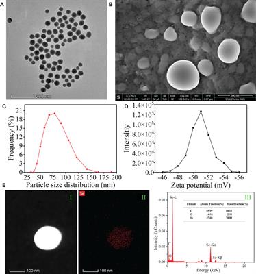 Algal polysaccharides–Selenium nanoparticles regulate the uptake and distribution of selenium in rice plants